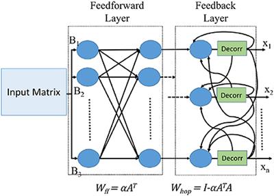 Computing Generalized Matrix Inverse on Spiking Neural Substrate